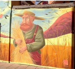 Visita certosa a colori alla scoperta del complesso della certosa e della street art in va